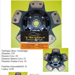 Disco Frizione in Rame Sinterizzato 5 Petali / a Molle con Parastrappi Citroen C4 2.0 16v + Coupé - 6058