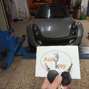 Servizio Programmazione / Assistenza Chiavi Smart