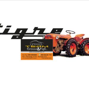 Disco Frizione Rigido CARRARO ANTONIO - Super Tigre seconda serie - 620 - 625 - 635 200 R - 40 B - SUPER TIGRE 4000 - TIGRONE 4000 misure 200 x z10 Spiline 18x22 COD. 1183 Motocoltivatore