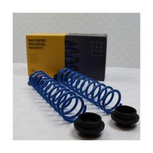 Kit molle rinforzate carico posteriore Molle rinforzo posteriori in aggiunta all'originale FIAT DOBLO 263 + Cargo 263 OPEL COMBO X12 + COMBO TOUR X12 RAM PROMASTER CITY VM HV-051755